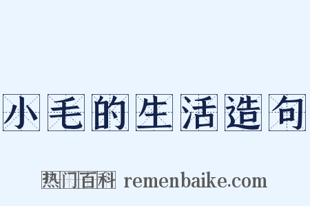 小毛的生活造句是什么意思的图片